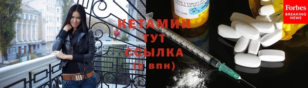 индика Зуевка