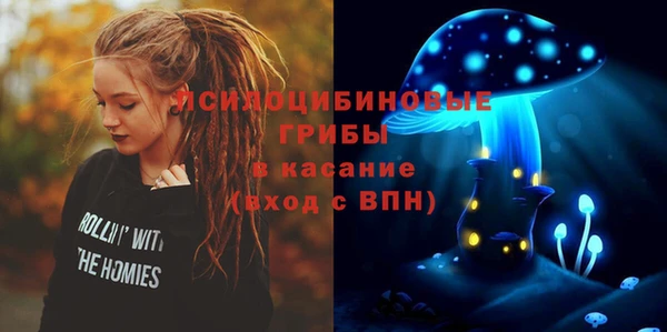 ALPHA-PVP Богородицк