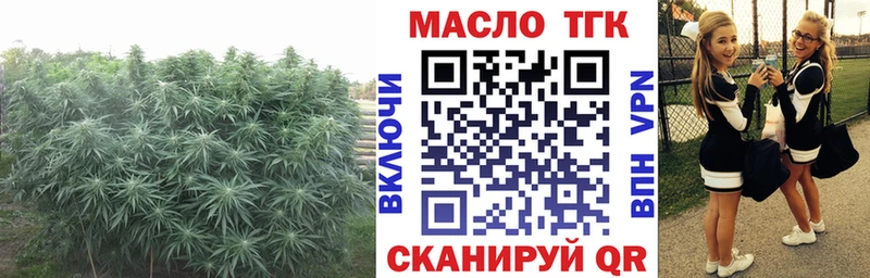 ТГК вейп с тгк  Пестово 